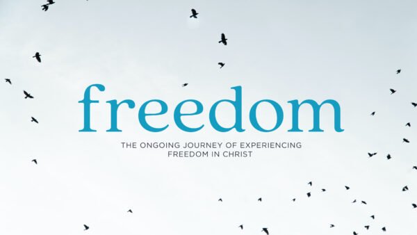 Freedom - Week 3 Image